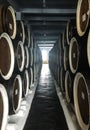 Rows of an old oak barrel Royalty Free Stock Photo