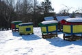 rows of old wooden beehives covered in snow Royalty Free Stock Photo