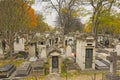 MAny rows of old grave monuments in in Mont martre cemetery, Paris, France,