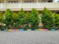 Rows of ornamental plants in the school yard