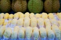 Rows of peeled yellow Durain in white paper packaging and a row of round durian with brown and green sharp skin