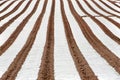 Rows of Polytunnels Royalty Free Stock Photo