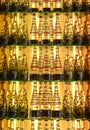 Rows of Popular Bottled Water on Backlit Shelf