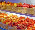 rows of red apples on shelves in baskets in cooler inside agriculture farm store in Fall