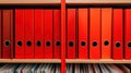 Rows of Red Document Folders in Office Archive Royalty Free Stock Photo