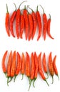 Rows of red fresh chilies Royalty Free Stock Photo