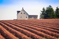 Plowed field in prince Edward island Royalty Free Stock Photo