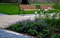 Rows of reddish wood benches on their paneling under the benches is a rectangle of concrete anti-scraping beige paths by the shoes Royalty Free Stock Photo