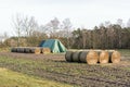 Rows of round bales of cattle feed hay packed in a plastic mesh