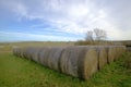 Rows of round bales of straw. Royalty Free Stock Photo