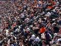 Rows of San Francisco Giants fans watch baseball from seats