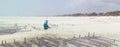 Rows of seaweed on a seaweed farm, Paje, Zanzibar island, Tanzania Royalty Free Stock Photo