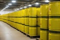 rows of shiny, new nuclear waste containers ready for disposal