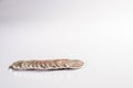 Rows of silvery spanish peseta coins on white background