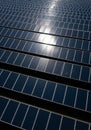 Rows of solar panels arranged in a grid pattern, reflect sunlight, creating bright spots Royalty Free Stock Photo