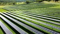 Rows of Solar Panels for Community