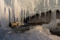 Rows of stalactite icicles hang from the stone. Icicles on the lake beach on the background of blue water. Fragments of