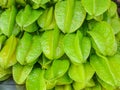 The rows of the starfruits Royalty Free Stock Photo