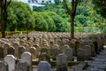 Rows of stone tombstones in a public cemetery