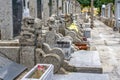 Rows of stone tombstones in a public cemetery