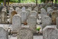 Rows of stone tombstones in a public cemetery