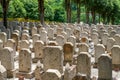 Rows of stone tombstones in a public cemetery