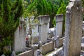 Rows of stone tombstones in a public cemetery