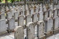 Rows of stone tombstones in a public cemetery