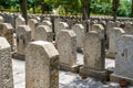 Rows of stone tombstones in a public cemetery