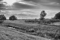 Rows of straw bales at sunset Royalty Free Stock Photo