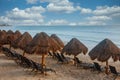 Thatch Umbrellas on a Tropical Beach Royalty Free Stock Photo