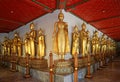 Stunning Gilded Buddha Images from Different Parts of Thailand along the Cloisters of Wat Pho Temple, Bangkok, Thailand Royalty Free Stock Photo