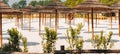 Rows of thatch umbrellas in the park. Royalty Free Stock Photo