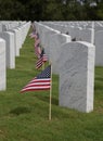 Rows Of Tombstones At Cape Canaveral Cemetery Royalty Free Stock Photo