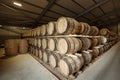 Rows of traditional full whisky barrels, put down to mature, in a large warehouse facility, with acute perspective Royalty Free Stock Photo