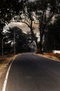 Rows of trees along the road and the sky covered with thick black rain clouds Royalty Free Stock Photo