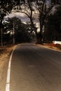 Rows of trees along the road and the sky covered with thick black rain clouds Royalty Free Stock Photo