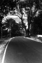 Rows of trees along the road and the sky covered with thick black rain clouds Royalty Free Stock Photo