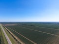 Rows of trees in the garden. Aerophotographing, top view. Royalty Free Stock Photo