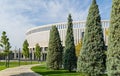 Rows of trimmed Arizona cypress Cupressus arizonica `Blue Ice` on stadium Krasnodar background in public city park Krasnodar