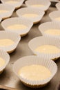 Rows of unbaked cup cakes lined up Royalty Free Stock Photo