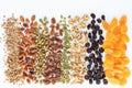 Rows of various nuts, seeds and dried fruit against a white background. Royalty Free Stock Photo