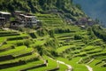 rows of vegetable patches in a terraced mountain village