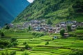 rows of vegetable patches in a terraced mountain village