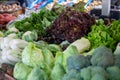 Rows of Vegetables Royalty Free Stock Photo