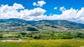 Rows of Vines in the Vineyards of Canada`s Wine Region in the Okanagen Valley Royalty Free Stock Photo