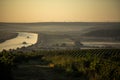 Rows of vineyard before harvesting, drone view Royalty Free Stock Photo