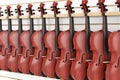 Rows of Vintage Red Wooden Violins for Sale Hanging on Shelf in Shop. 3d Rendering Royalty Free Stock Photo
