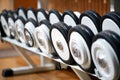 Rows of weights on a shelf in a gym