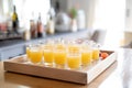 rows of whiskey sours prepared for party, on serving tray